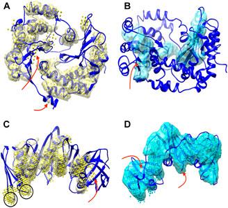 A Tool for Segmentation of Secondary Structures in 3D Cryo-EM Density Map Components Using Deep Convolutional Neural Networks